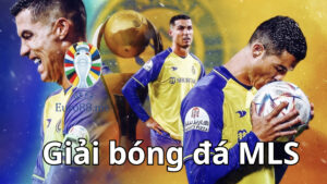 Tổng quan về giải bóng đá Major League Soccer