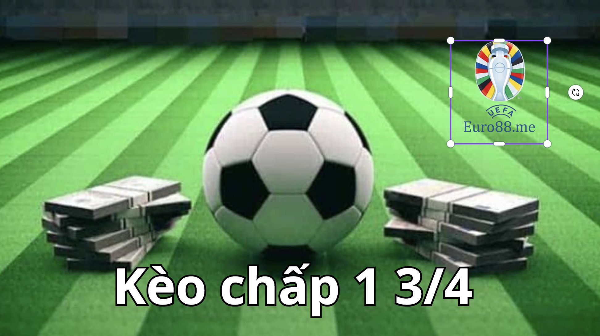 Nên cược khi tỷ lệ cược đã ổn định Nên cược khi tỷ lệ cược đã ổn định