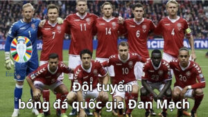 Tìm hiểu tổng quan về đội hình đội tuyển Đan Mạch Euro 2024